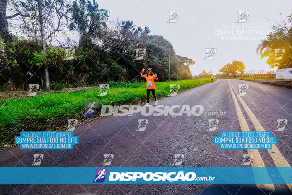 Circuito  de Corridas Angeloni 2024  Maringá