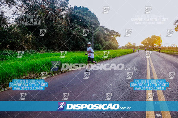 Circuito  de Corridas Angeloni 2024  Maringá