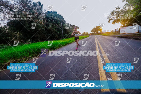 Circuito  de Corridas Angeloni 2024  Maringá