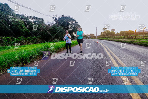 Circuito  de Corridas Angeloni 2024  Maringá