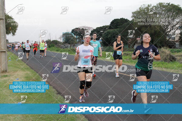 Circuito  de Corridas Angeloni 2024  Maringá