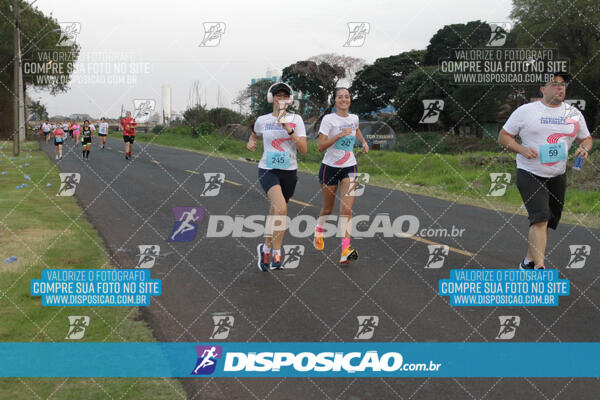 Circuito  de Corridas Angeloni 2024  Maringá