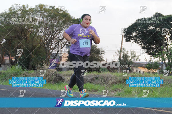 Circuito  de Corridas Angeloni 2024  Maringá