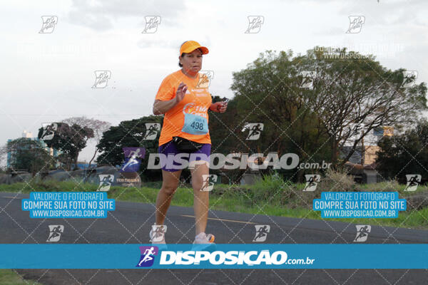 Circuito  de Corridas Angeloni 2024  Maringá