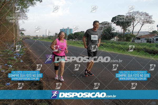 Circuito  de Corridas Angeloni 2024  Maringá