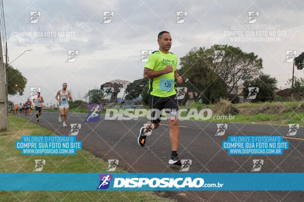 Circuito  de Corridas Angeloni 2024  Maringá