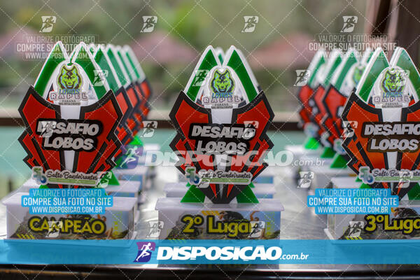 1º Desafio Lobos OCR