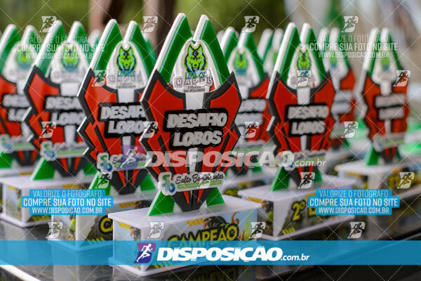 1º Desafio Lobos OCR