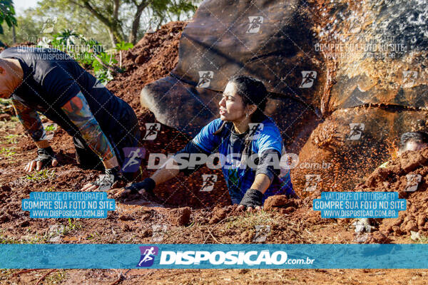 1º Desafio Lobos OCR