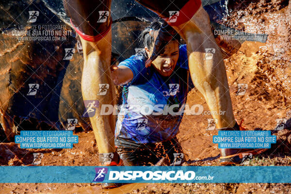 1º Desafio Lobos OCR