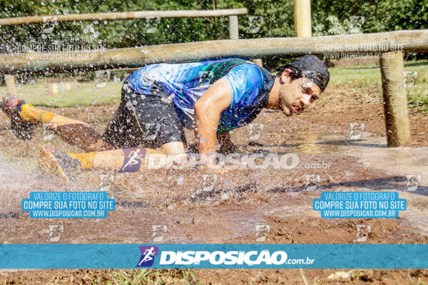 1º Desafio Lobos OCR