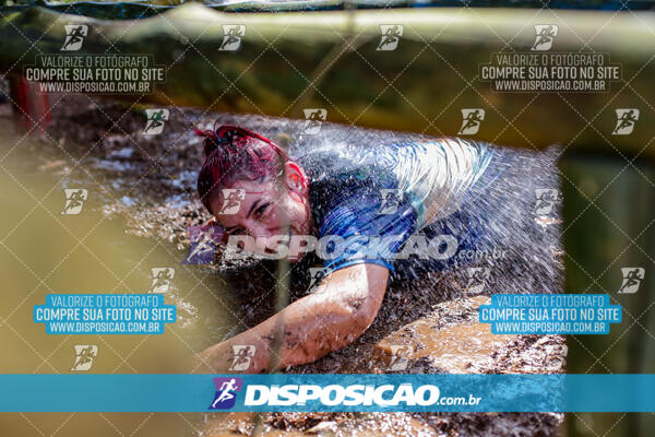 1º Desafio Lobos OCR