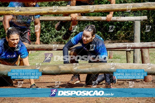 1º Desafio Lobos OCR