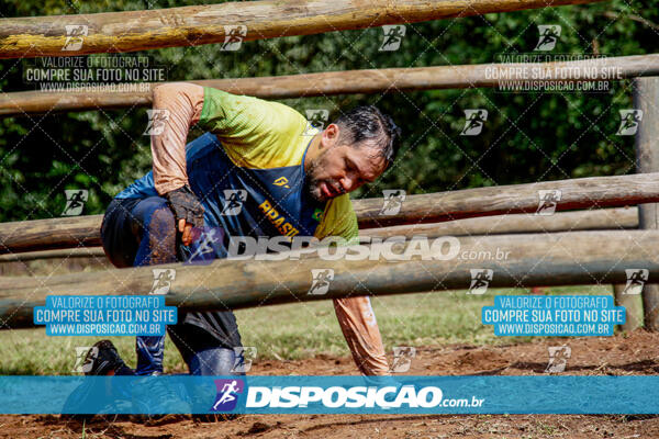 1º Desafio Lobos OCR