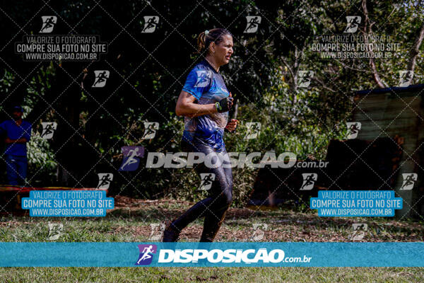 1º Desafio Lobos OCR