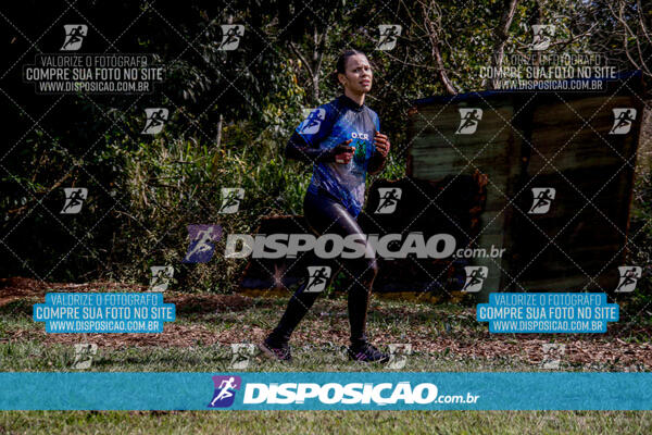 1º Desafio Lobos OCR