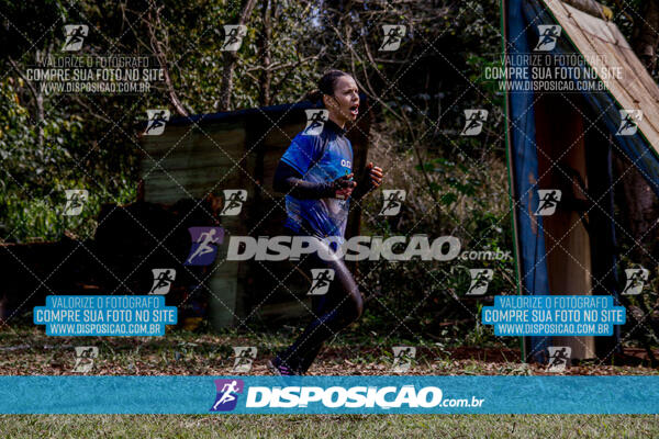 1º Desafio Lobos OCR