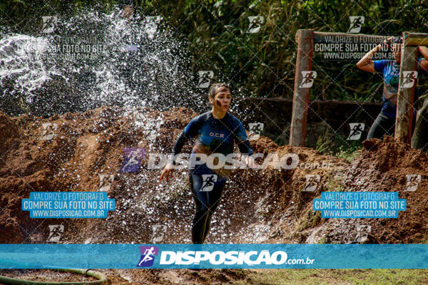 1º Desafio Lobos OCR