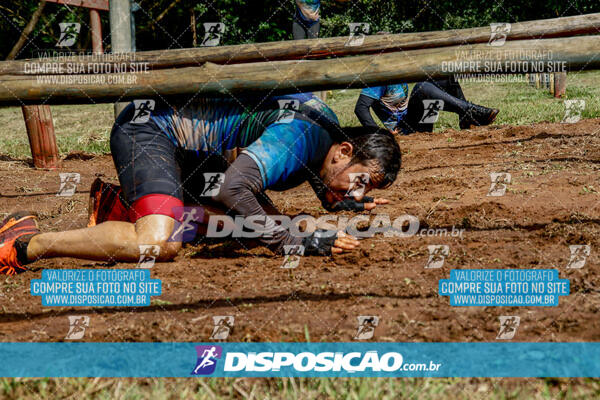 1º Desafio Lobos OCR