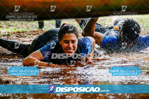 1º Desafio Lobos OCR