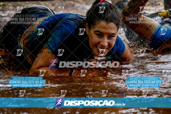 1º Desafio Lobos OCR