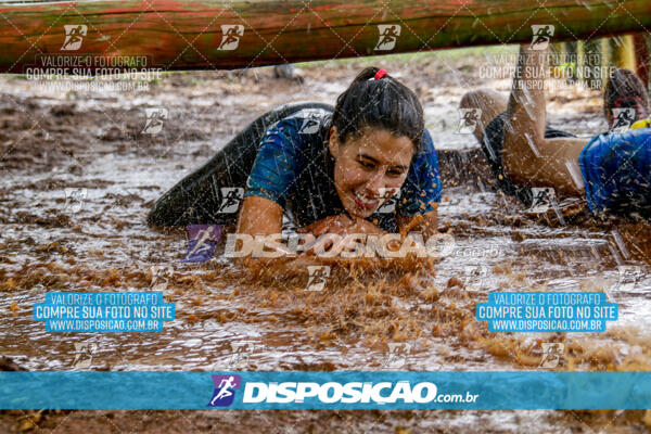 1º Desafio Lobos OCR