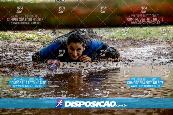 1º Desafio Lobos OCR