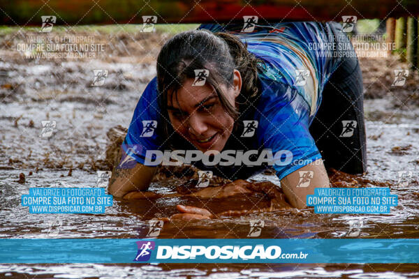 1º Desafio Lobos OCR