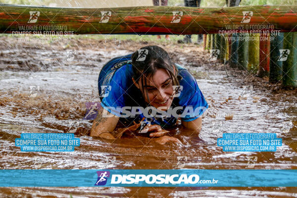 1º Desafio Lobos OCR