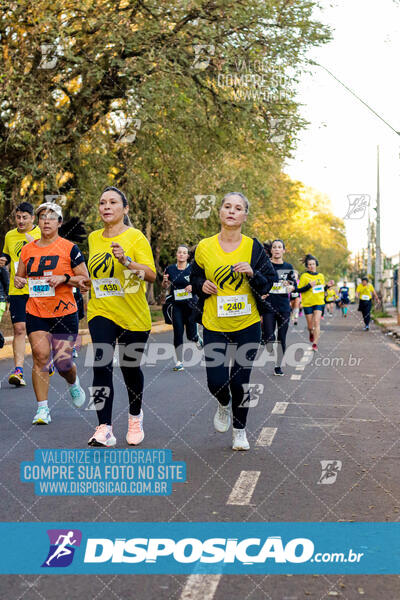 Corrida Mexa-se Pela Vida - Londrina 2024