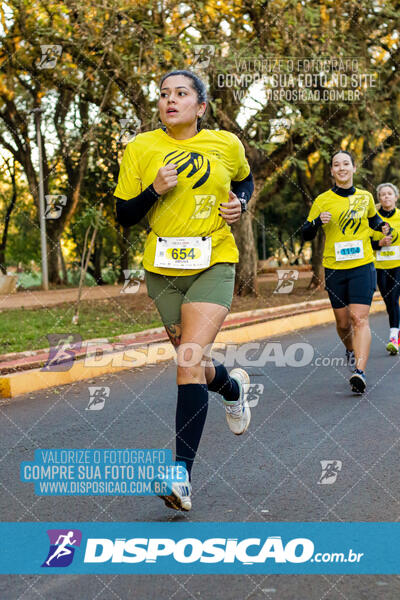 Corrida Mexa-se Pela Vida - Londrina 2024