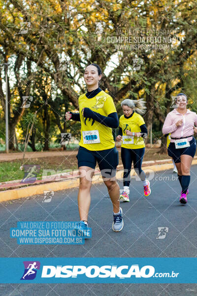 Corrida Mexa-se Pela Vida - Londrina 2024