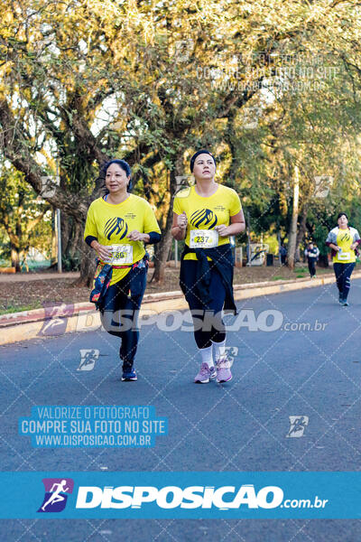 Corrida Mexa-se Pela Vida - Londrina 2024