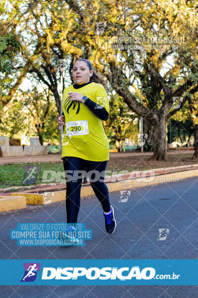 Corrida Mexa-se Pela Vida - Londrina 2024