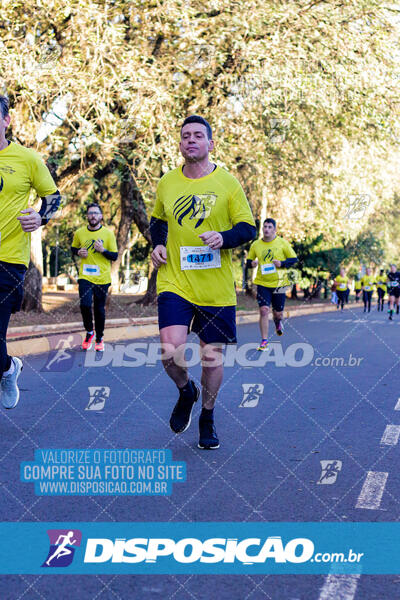 Corrida Mexa-se Pela Vida - Londrina 2024