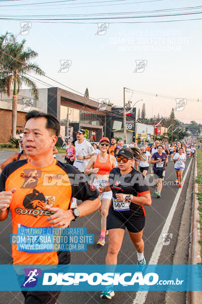 Circuito de Corrida de Rua FENABB-AABB Maringá