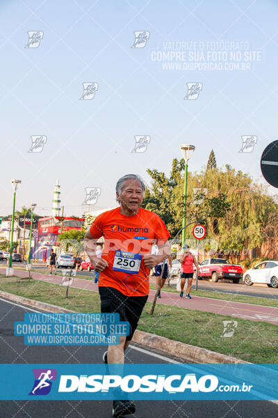 Circuito de Corrida de Rua FENABB-AABB Maringá