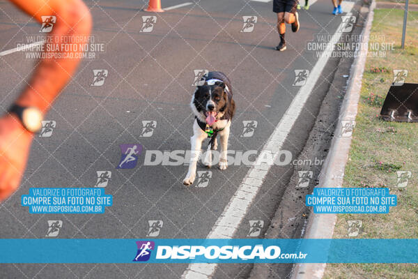 Circuito de Corrida de Rua FENABB-AABB Maringá