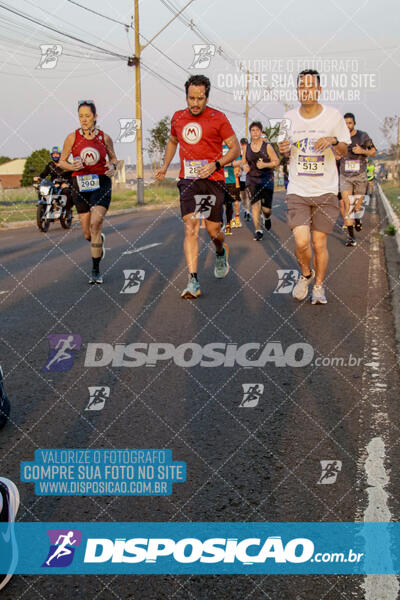 Circuito de Corrida de Rua FENABB-AABB Maringá