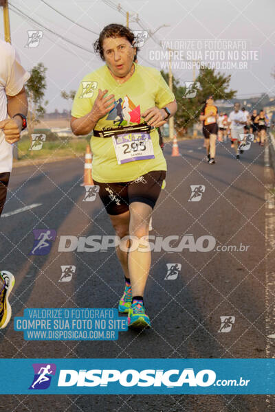 Circuito de Corrida de Rua FENABB-AABB Maringá