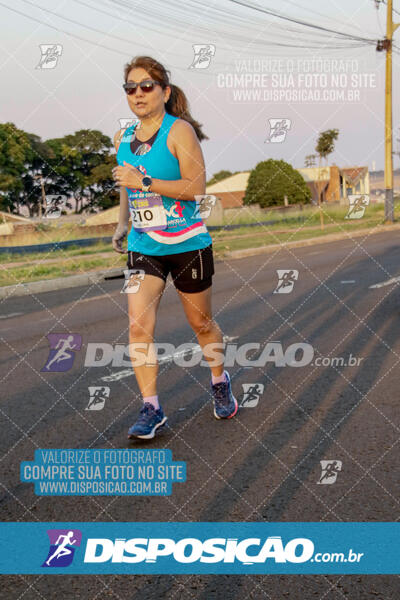 Circuito de Corrida de Rua FENABB-AABB Maringá