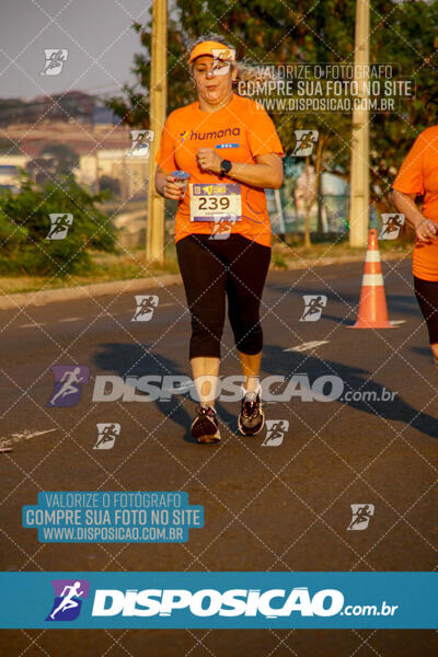 Circuito de Corrida de Rua FENABB-AABB Maringá