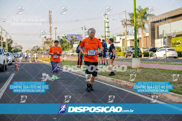 Circuito de Corrida de Rua FENABB-AABB Maringá