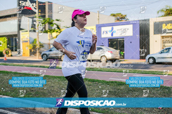 Circuito de Corrida de Rua FENABB-AABB Maringá