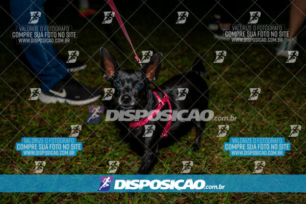 Corrida Unimed Inspira Night 2024