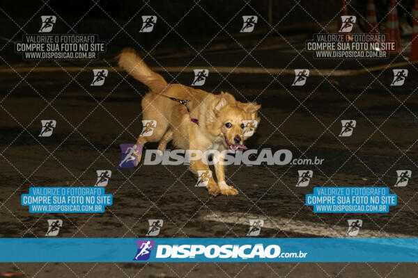 Corrida Unimed Inspira Night 2024