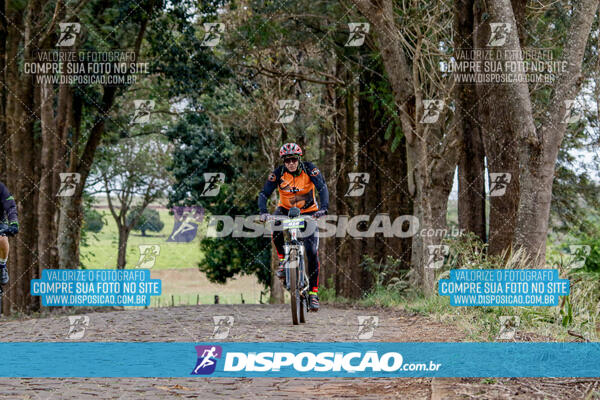 5º Desafio Solidário Endorfina