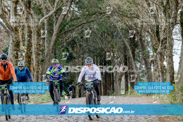 5º Desafio Solidário Endorfina