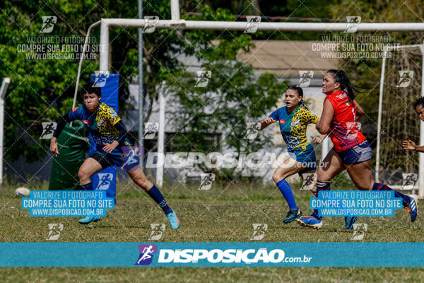 I Etapa do Paranaense de Rugby 7