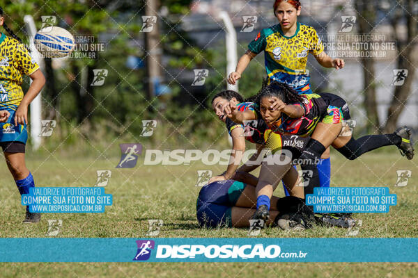 I Etapa do Paranaense de Rugby 7